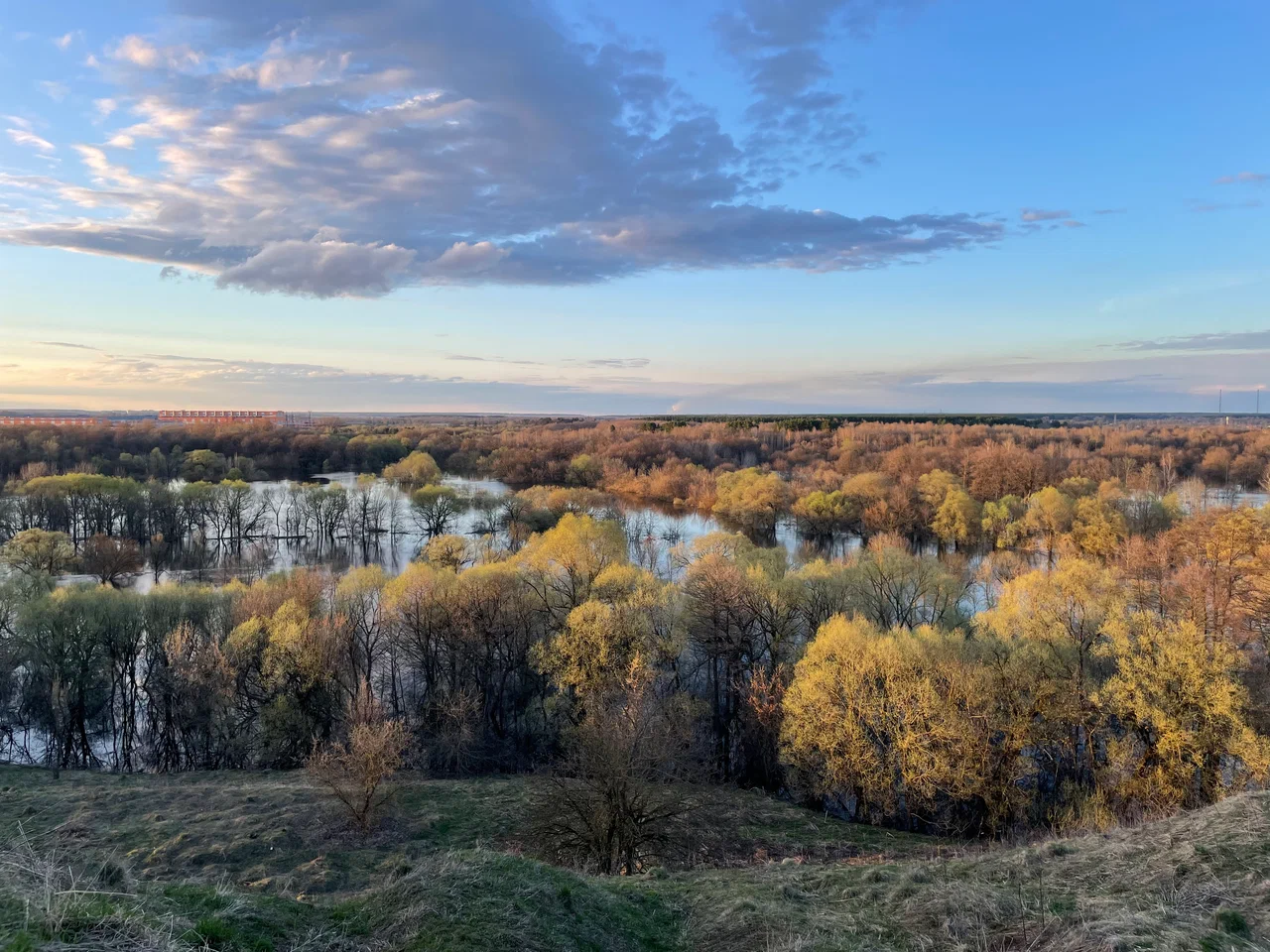 Чашин курган